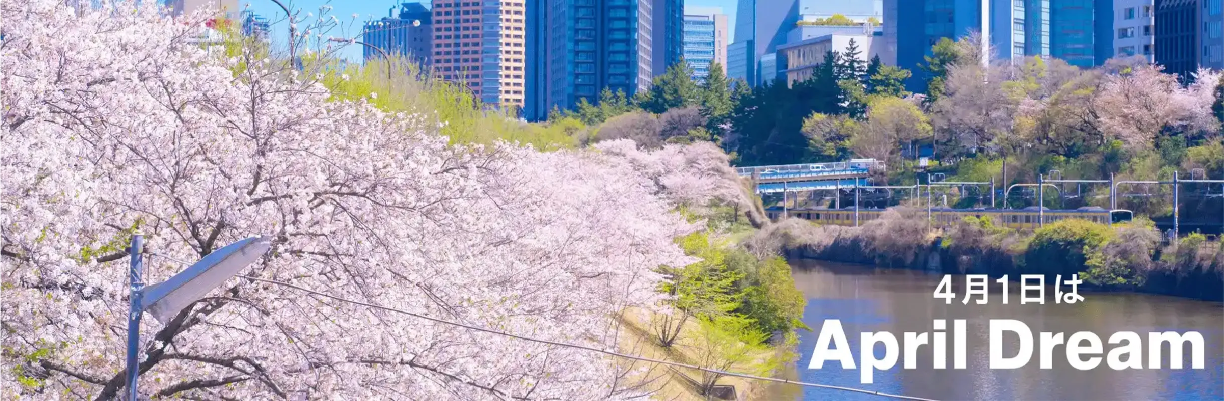 PR TIMES 夢のプレスリリース